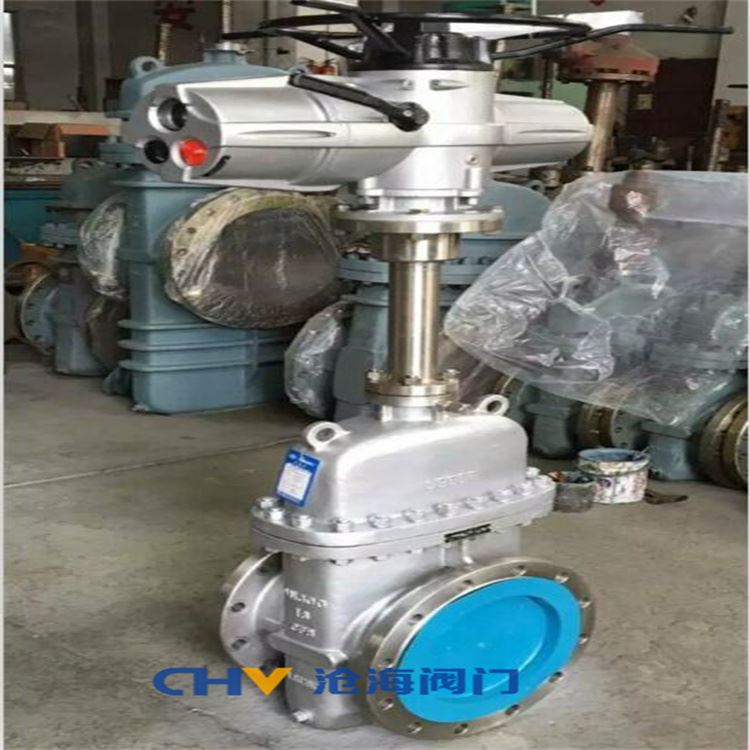CHVJ滄海KZ943Y-64C防爆電動抗硫平板閘閥
